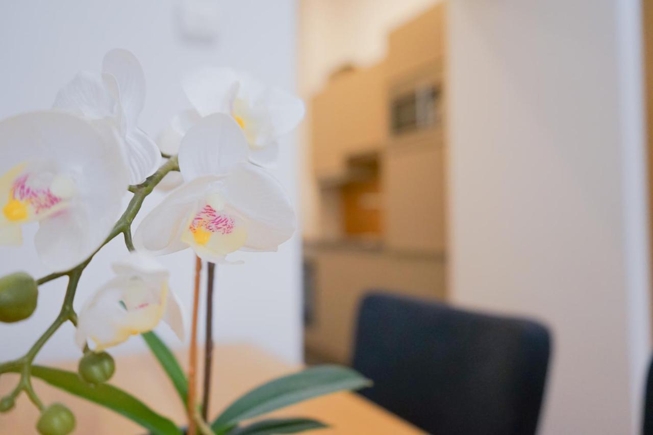 Nadland Apartments B7 Вена Экстерьер фото